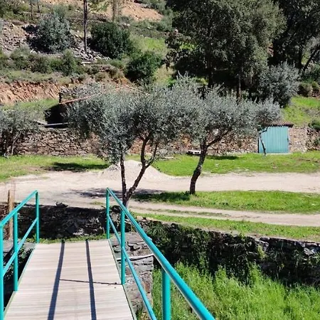 Olive Garden - Refurbished Century Old House In The Heart Of Portugal Sertã