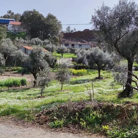 Olive Garden - Refurbished Century Old House In The Heart Of Portugal Casa de Férias Sertã