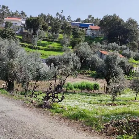 Olive Garden - Refurbished Century Old House In The Heart Of Portugal Casa de Férias *